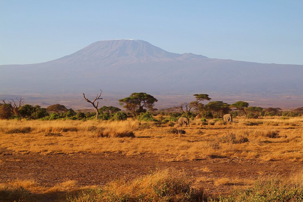 Amboseli-national-park