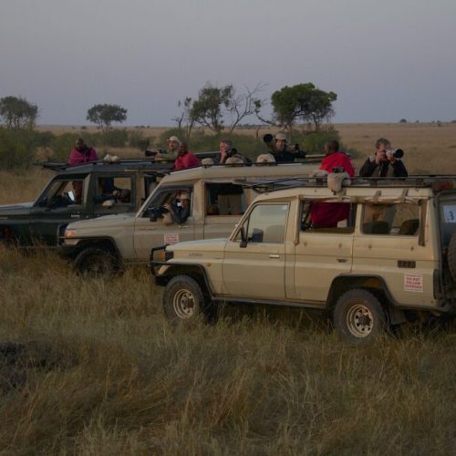 Maasai-mara-photography