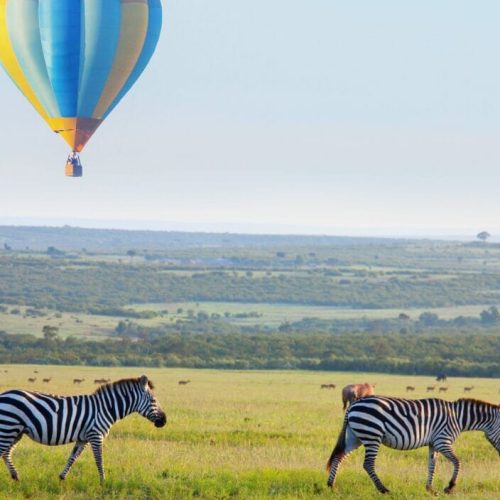 african safari