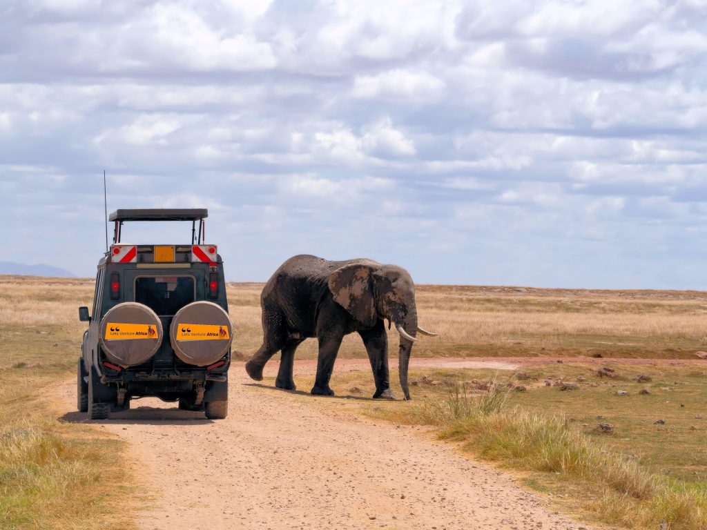 african safari vehicle