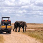 african safari vehicle