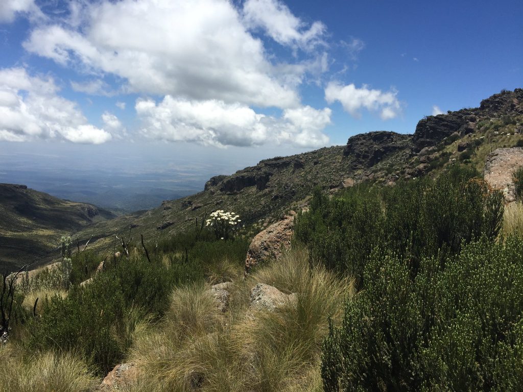 mount kenya