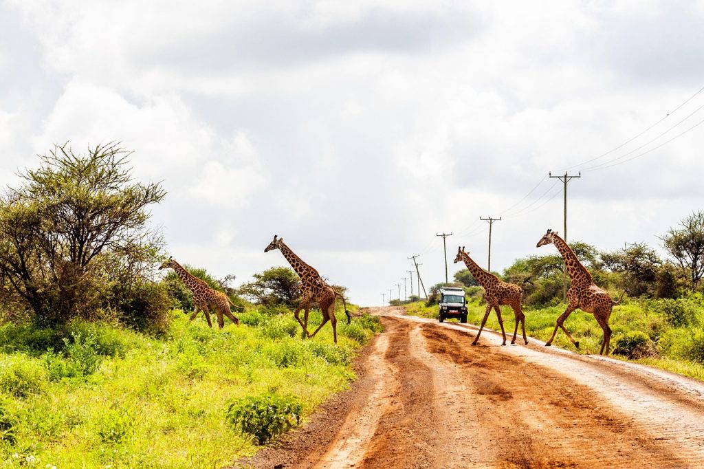 samburu national park